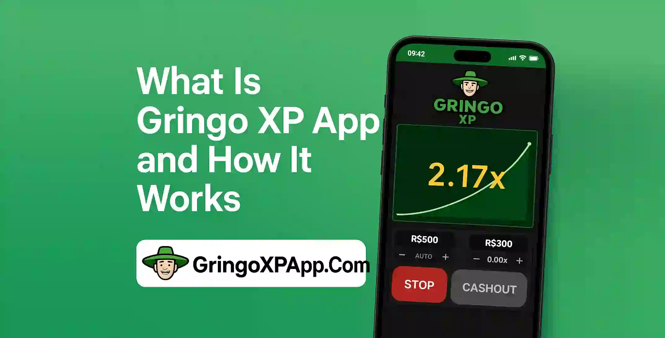 What Is Gringo XP App
